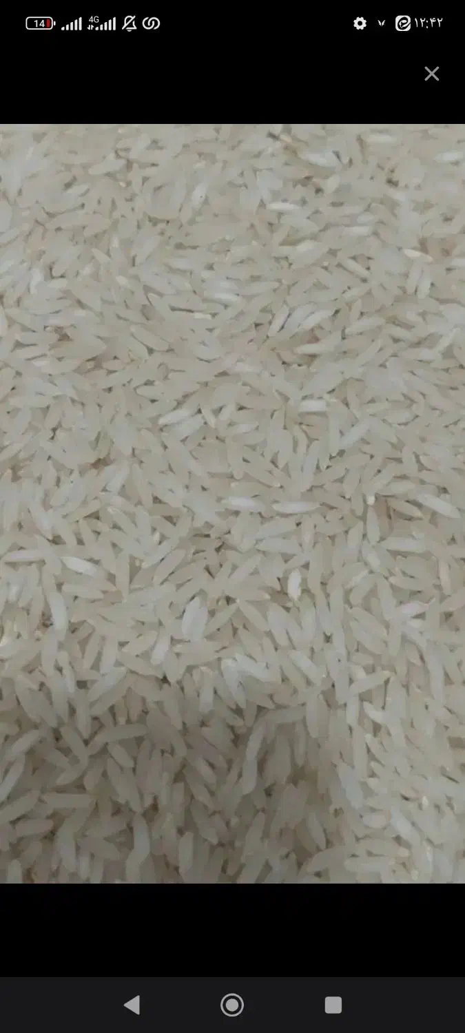 برنج طارم خوش بو وخوش پخت|خوردنی و آشامیدنی|دهدشت, |دیوار