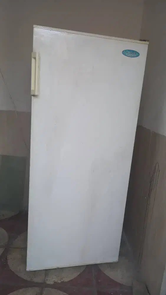 یخچال ازمایش سالم|یخچال و فریزر|شیراز, کوشک میدان|دیوار