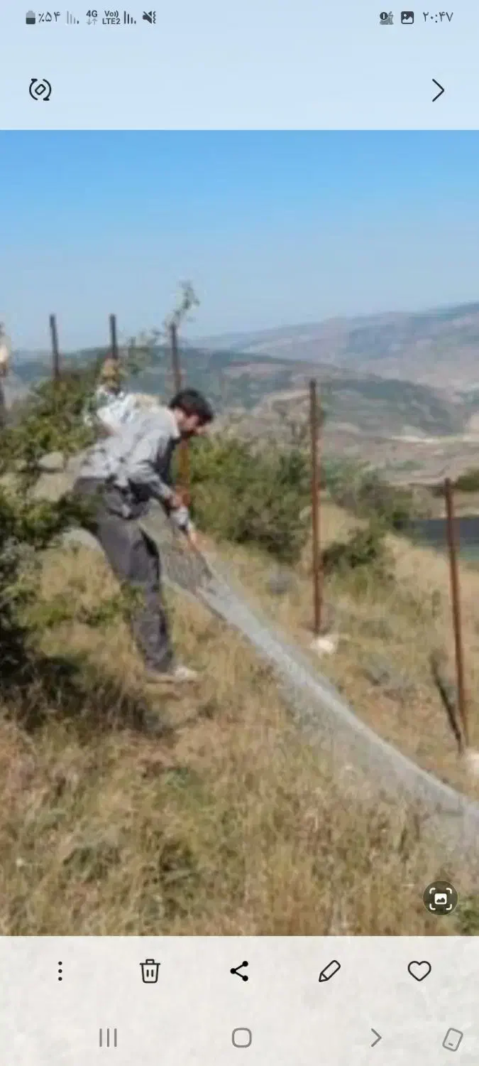 فنس کشی ، سیم خاردار، حصارکشی با بلوک|خدمات باغبانی و درختکاری|رشت, جانبازان|دیوار