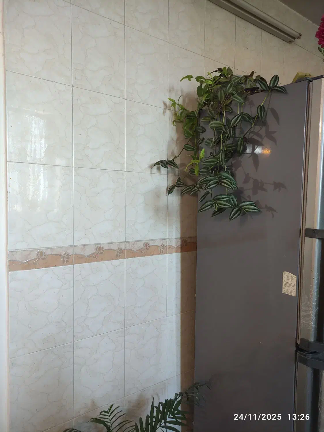 کاشی کاری پلاستر موزاییک|خدمات پیشه و مهارت|آباده, |دیوار