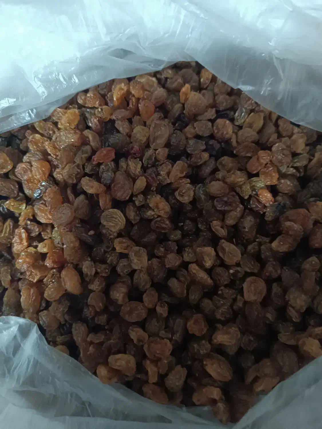 کشمش اشعاری|خوردنی و آشامیدنی|شیروان (خراسان), |دیوار
