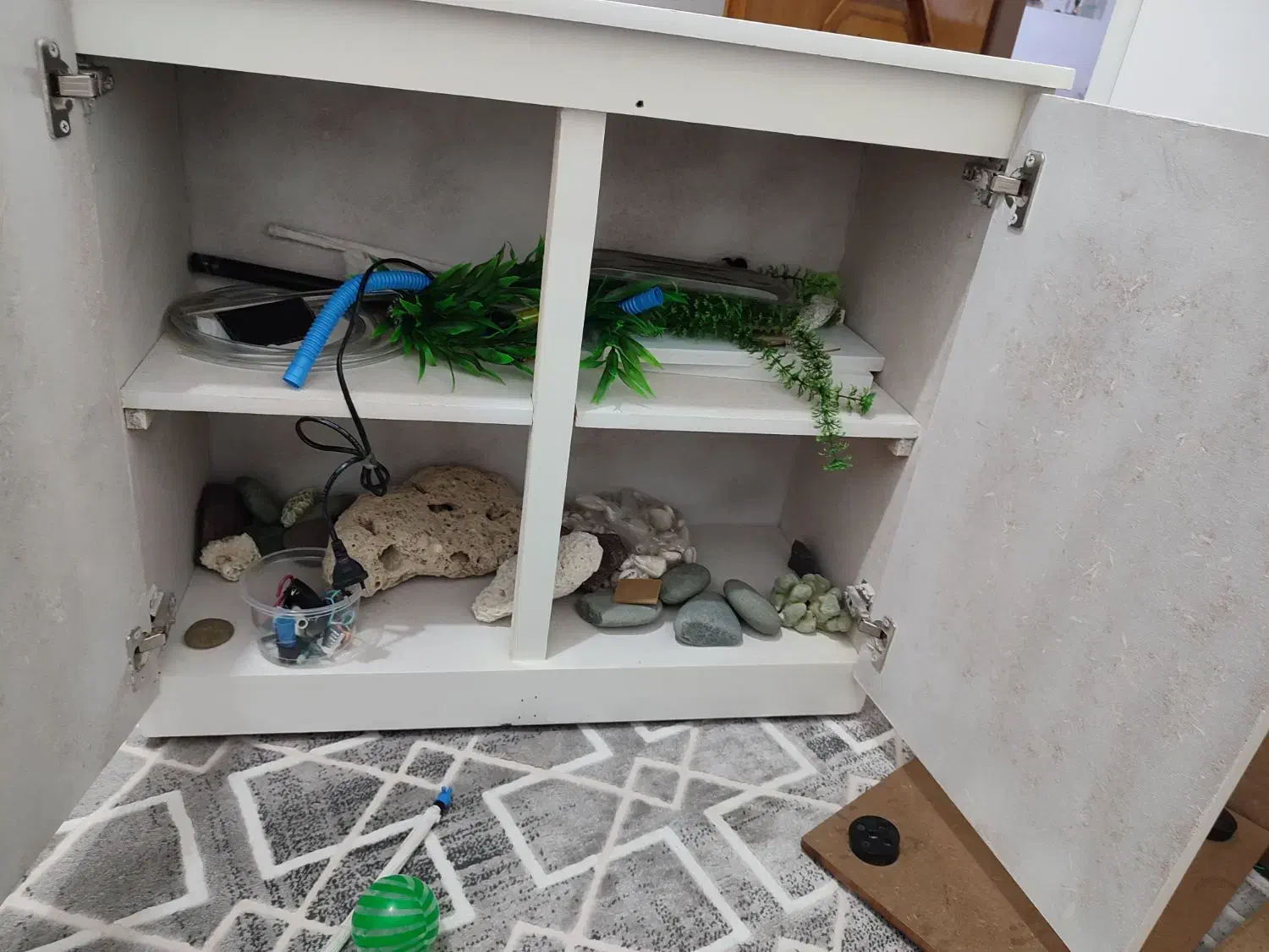 آکواریم کامل آماده پا به نو|ماهی|خمینی‌شهر, |دیوار