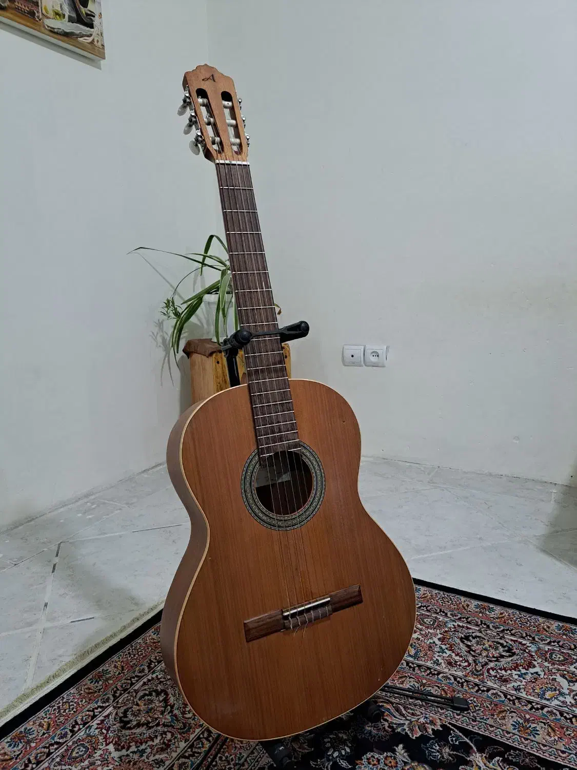 گیتار المانزا z400Nature|گیتار، بیس، امپلیفایر|کرج, ساماندهی|دیوار