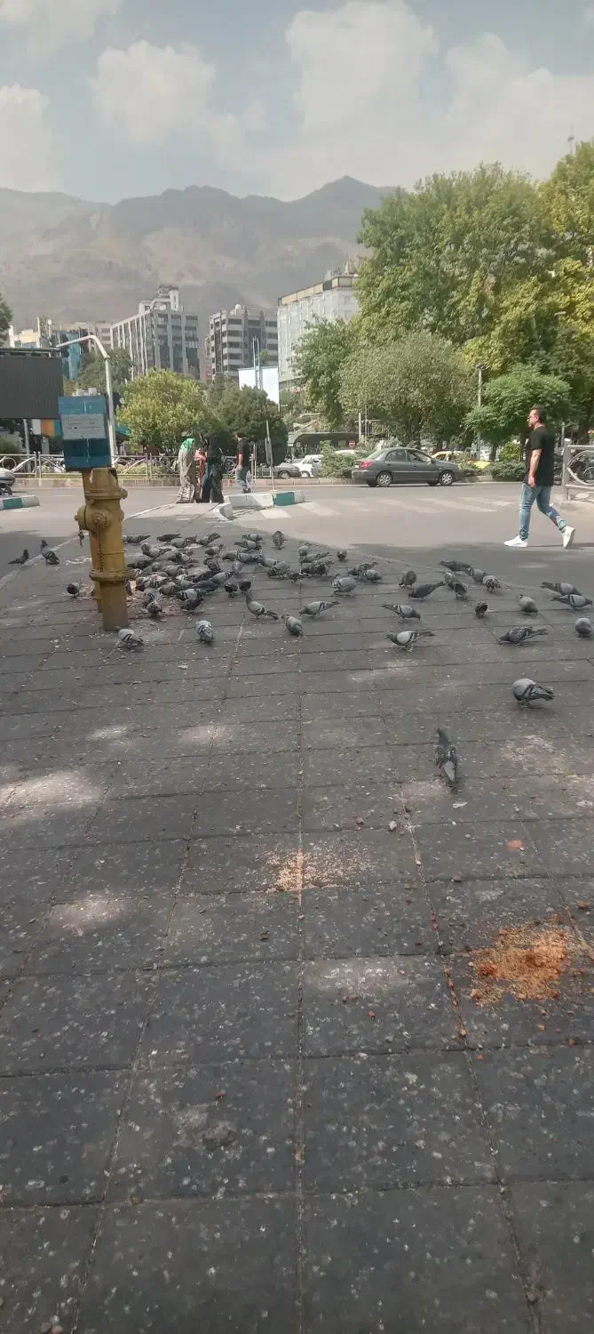 خدمات نظافت و تمیز کاری نظافت ساختمان و منازل|خدمات نظافت|ملارد, |دیوار