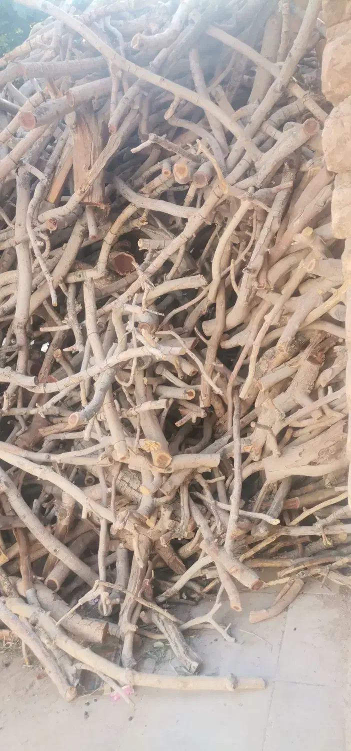 چوب پسته|خدمات باغبانی و درختکاری|کرمان, |دیوار