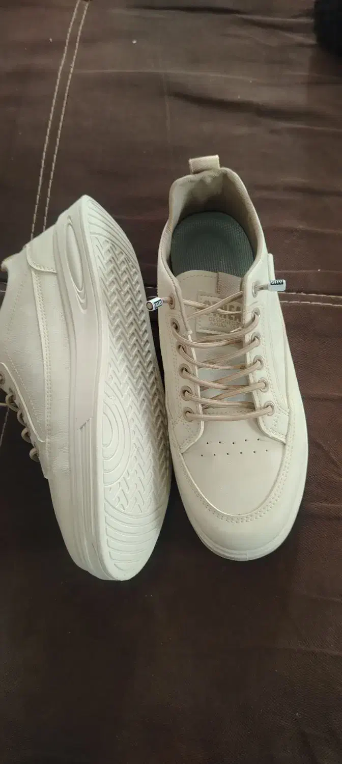 کفش|کیف، کفش، کمربند|شهرضا, |دیوار