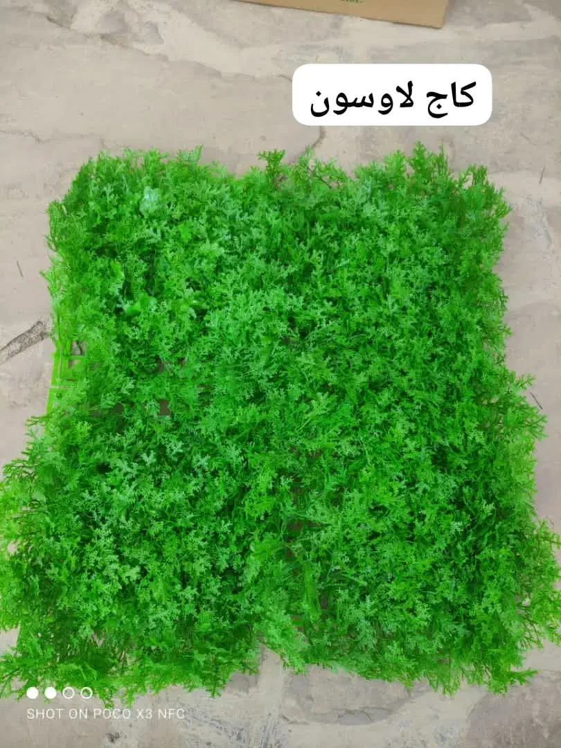 شهر چمن|مصالح و تجهیزات ساختمان|کرمان, |دیوار