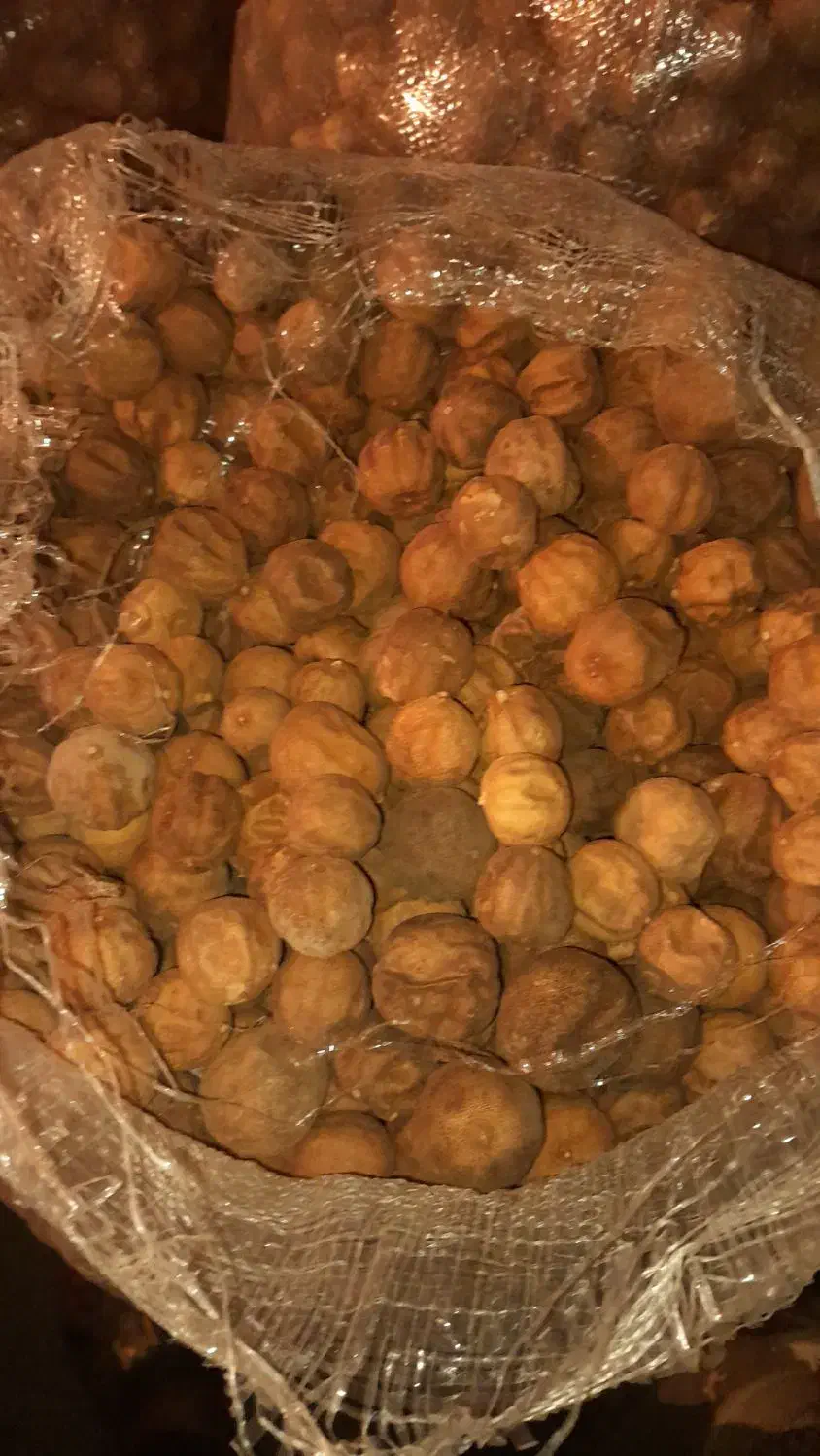 فروش لیمو عمانی|حراج|میناب, |دیوار