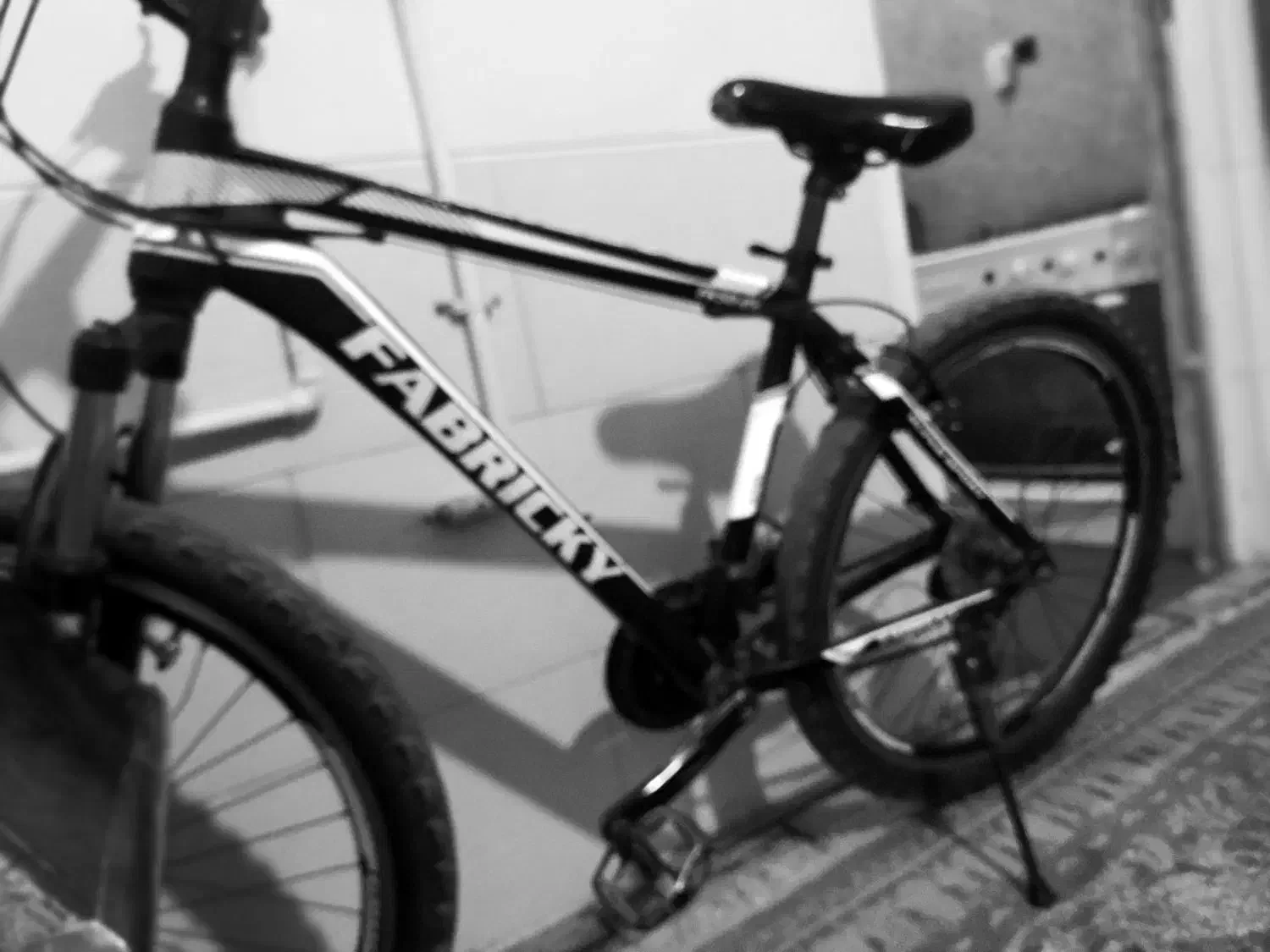 دوچرخه|دوچرخه، اسکیت، اسکوتر|شیراز, فرهنگ شهر|دیوار