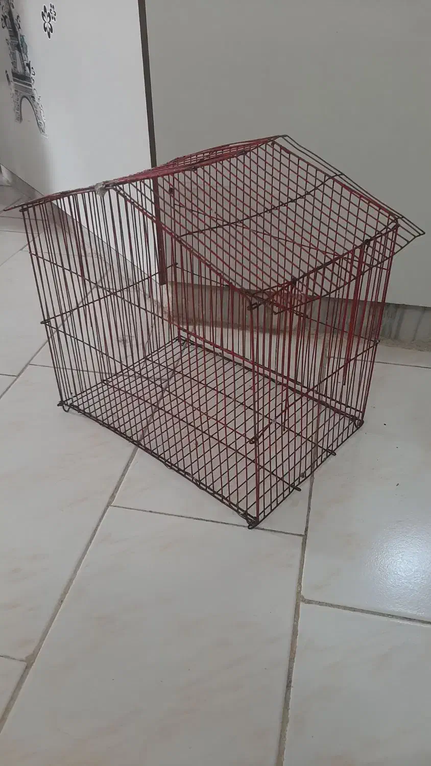 قفس پرنده|لوازم جانبی حیوانات|باغستان, |دیوار