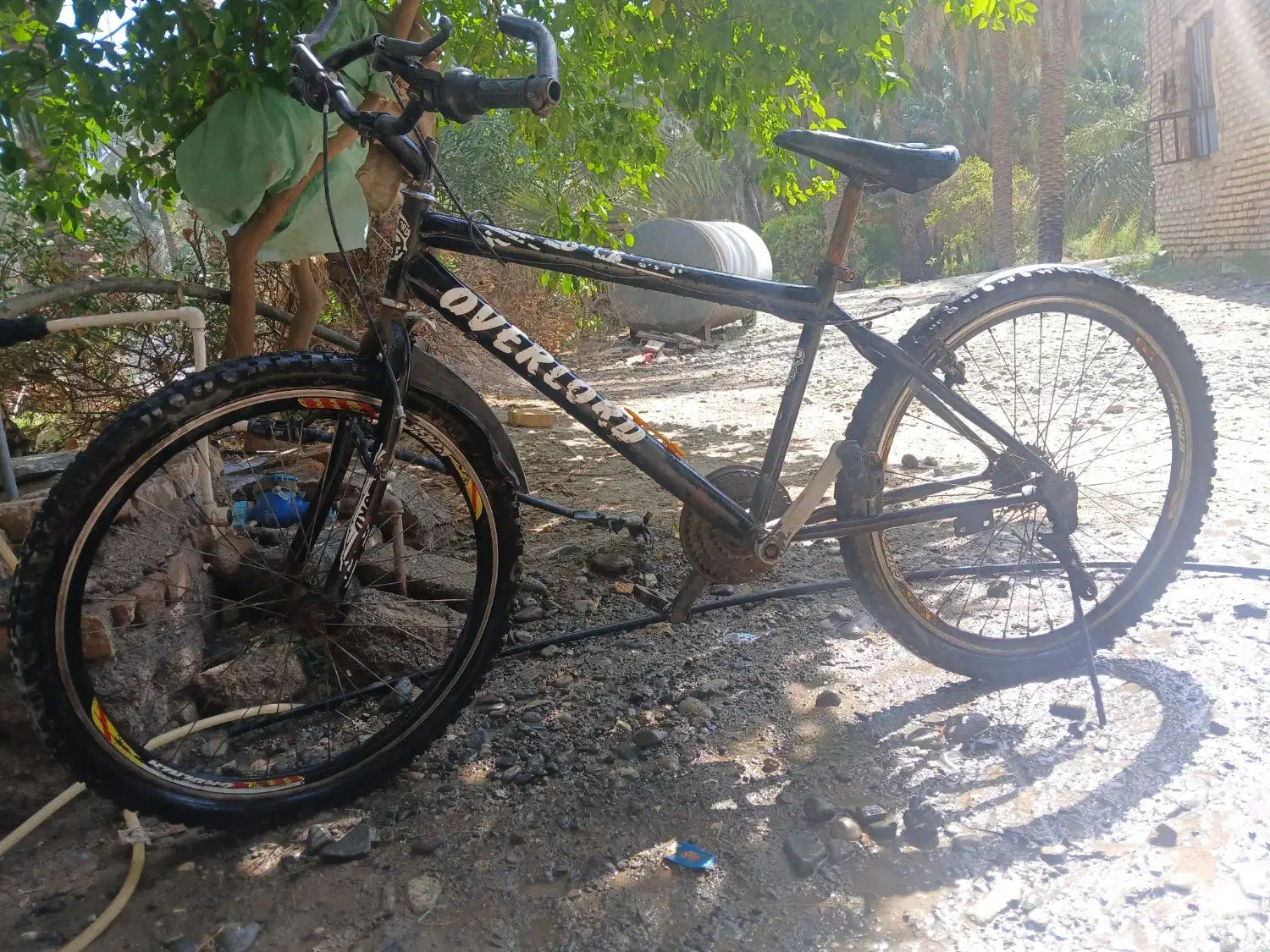 دوچرخه ۲۶|دوچرخه، اسکیت، اسکوتر|عنبرآباد, |دیوار