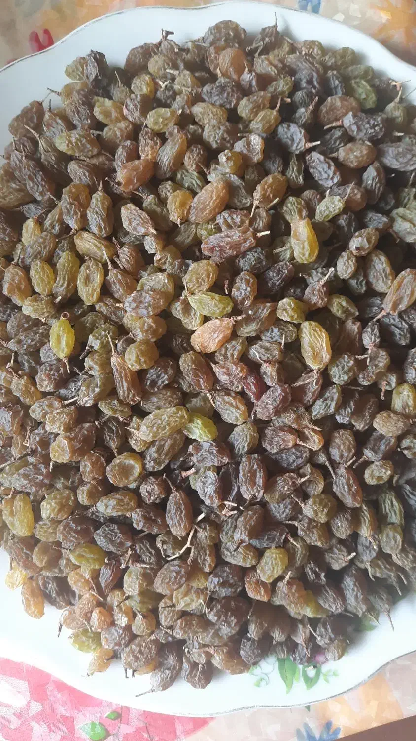 سایه خشک|خوردنی و آشامیدنی|ملایر, |دیوار