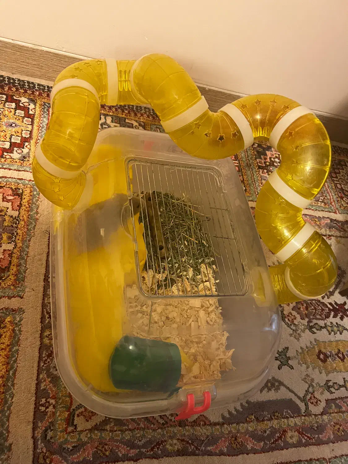 قفس همستر|موش و خرگوش|کرمان, |دیوار