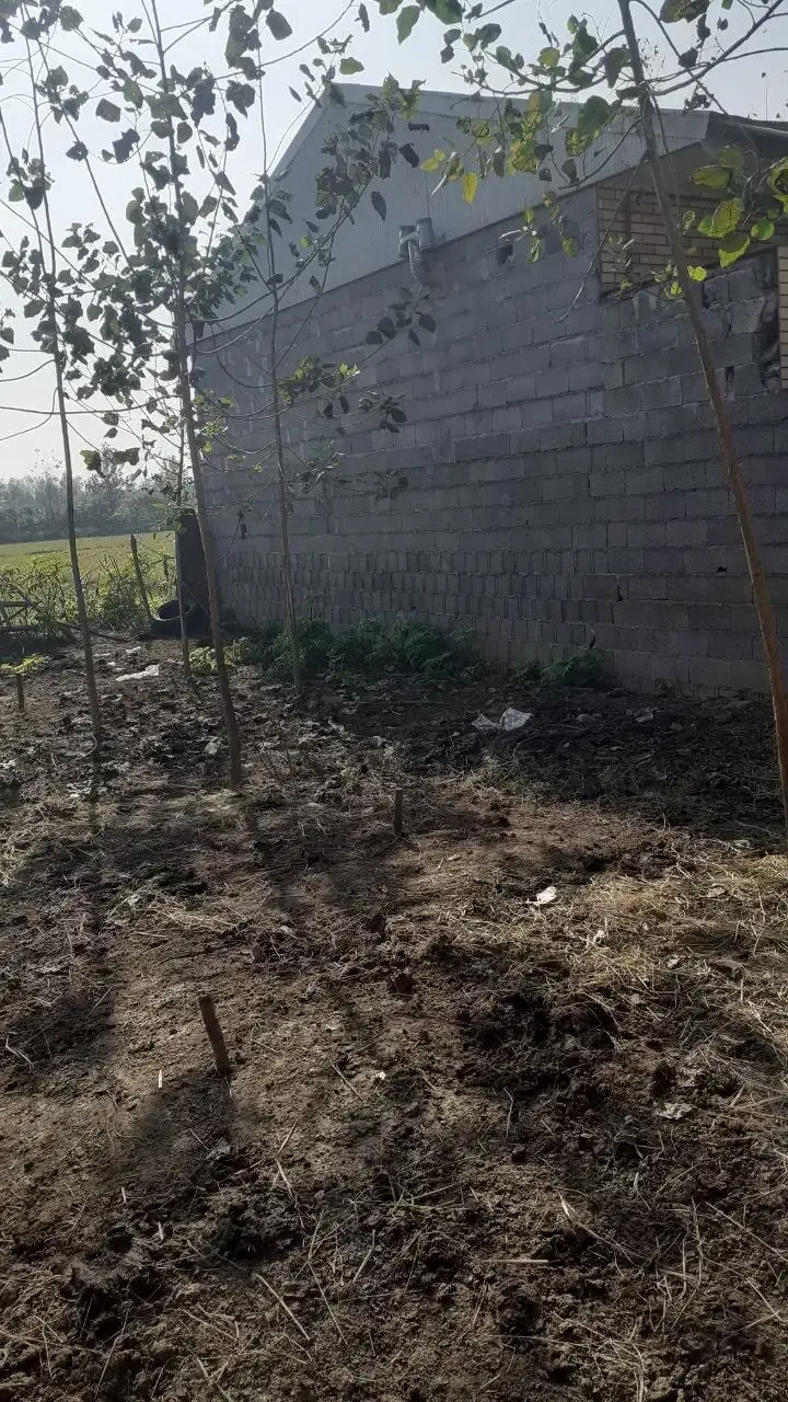 فروش زمین مسکونی ۲۸۰ متر|فروش زمین و ملک کلنگی|رشت, حومه رشت|دیوار