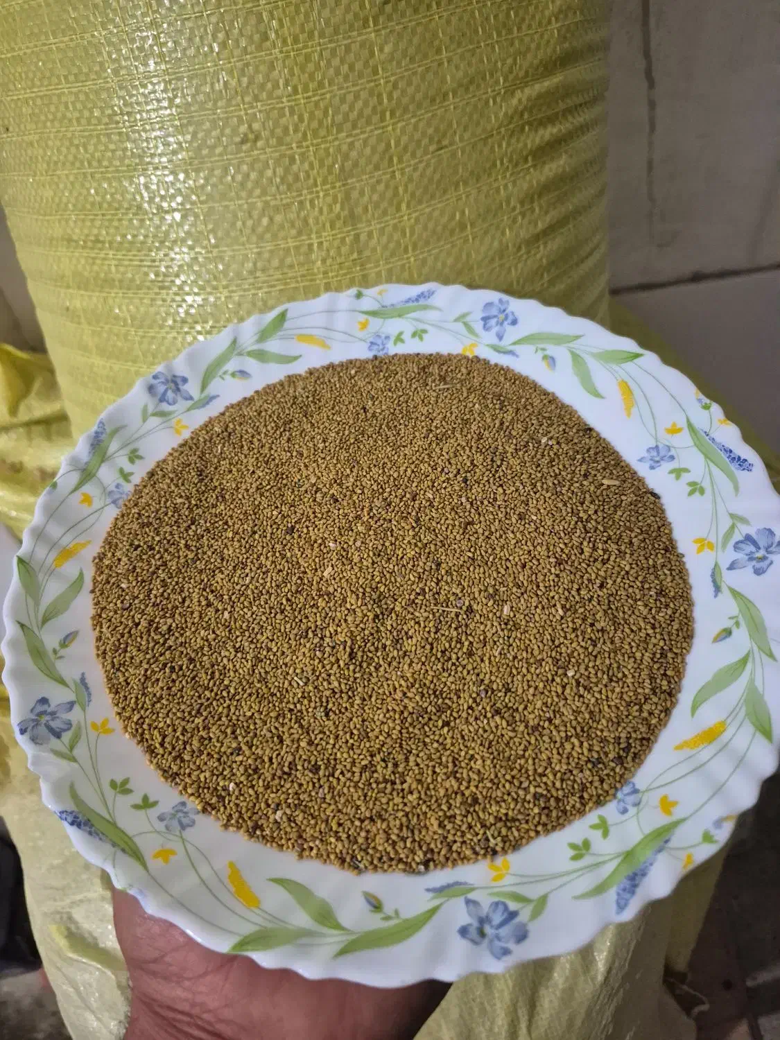 تخم ینجه درج یک ۷۰کیلو کیلو ۵۰۰|خدمات باغبانی و درختکاری|معصومیه, |دیوار