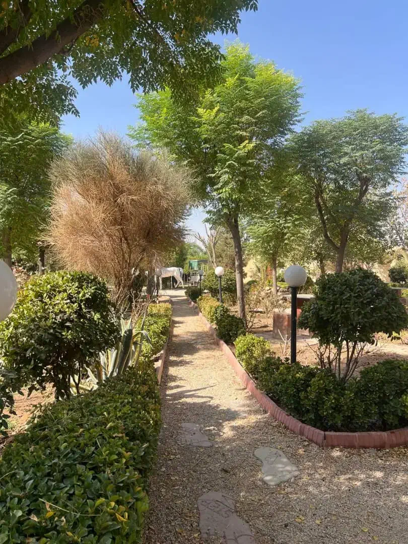 باغ تالار پذیرایی نامزدی عقد تولد مهمانی|خدمات پذیرایی، مراسم|قرچک, شهرک طلائیه|دیوار