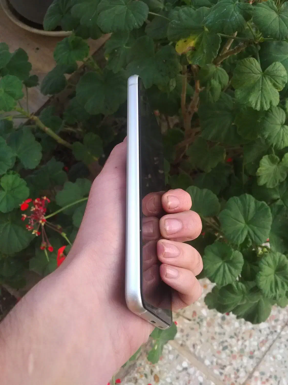 s21fe 5g زیر قیمت بازار ۳ ماه کارکرد|موبایل|رشت, معلم|دیوار