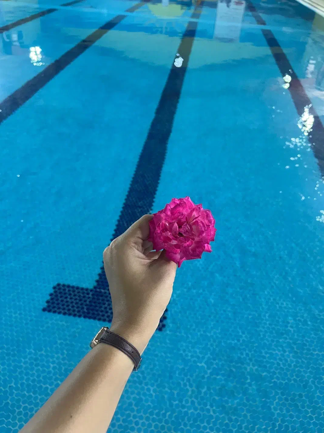 یادگیری شنا در محیطی آرام و حرفه ای|خدمات آموزشی|قزوین, |دیوار