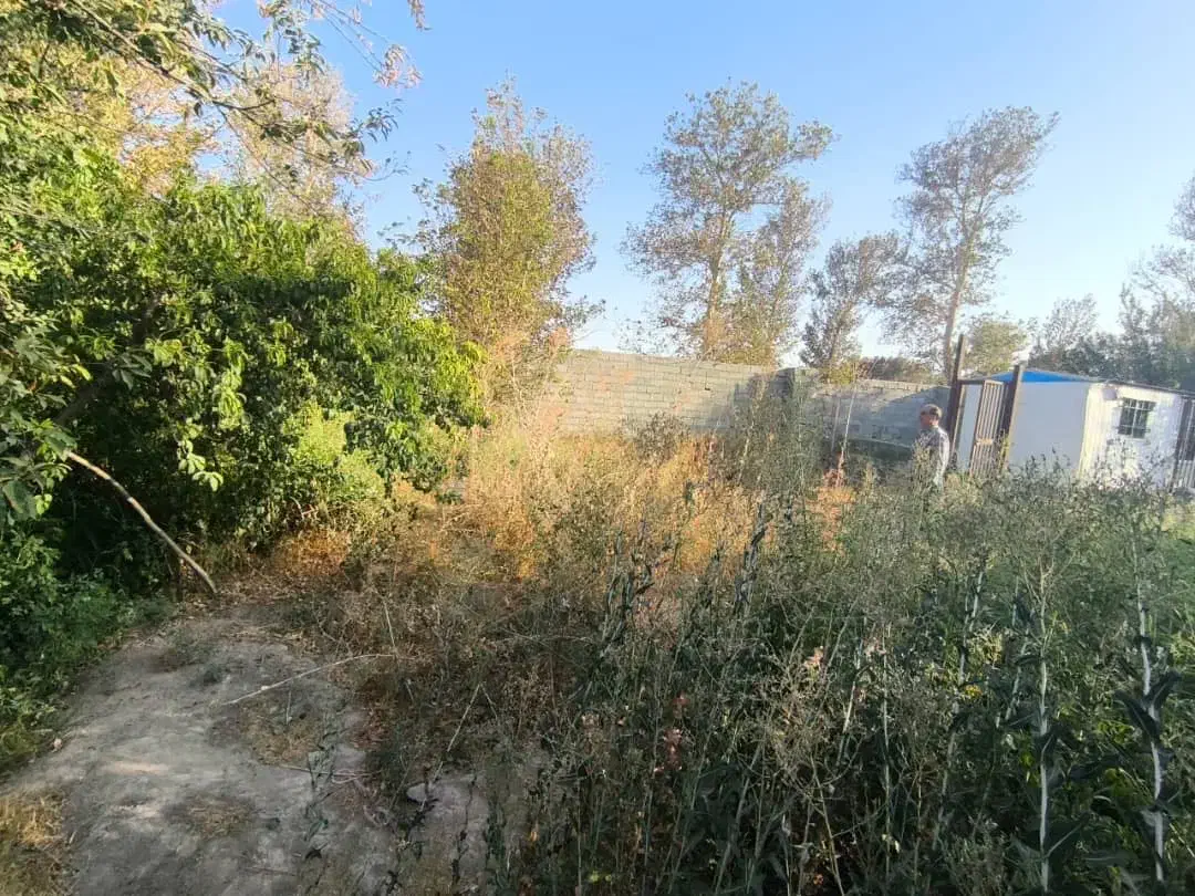 *فروش فوری زمین به متراژ ۴۰۰ متر  در محمدشهر *|فروش زمین و ملک کلنگی|محمدشهر, عباس آباد|دیوار