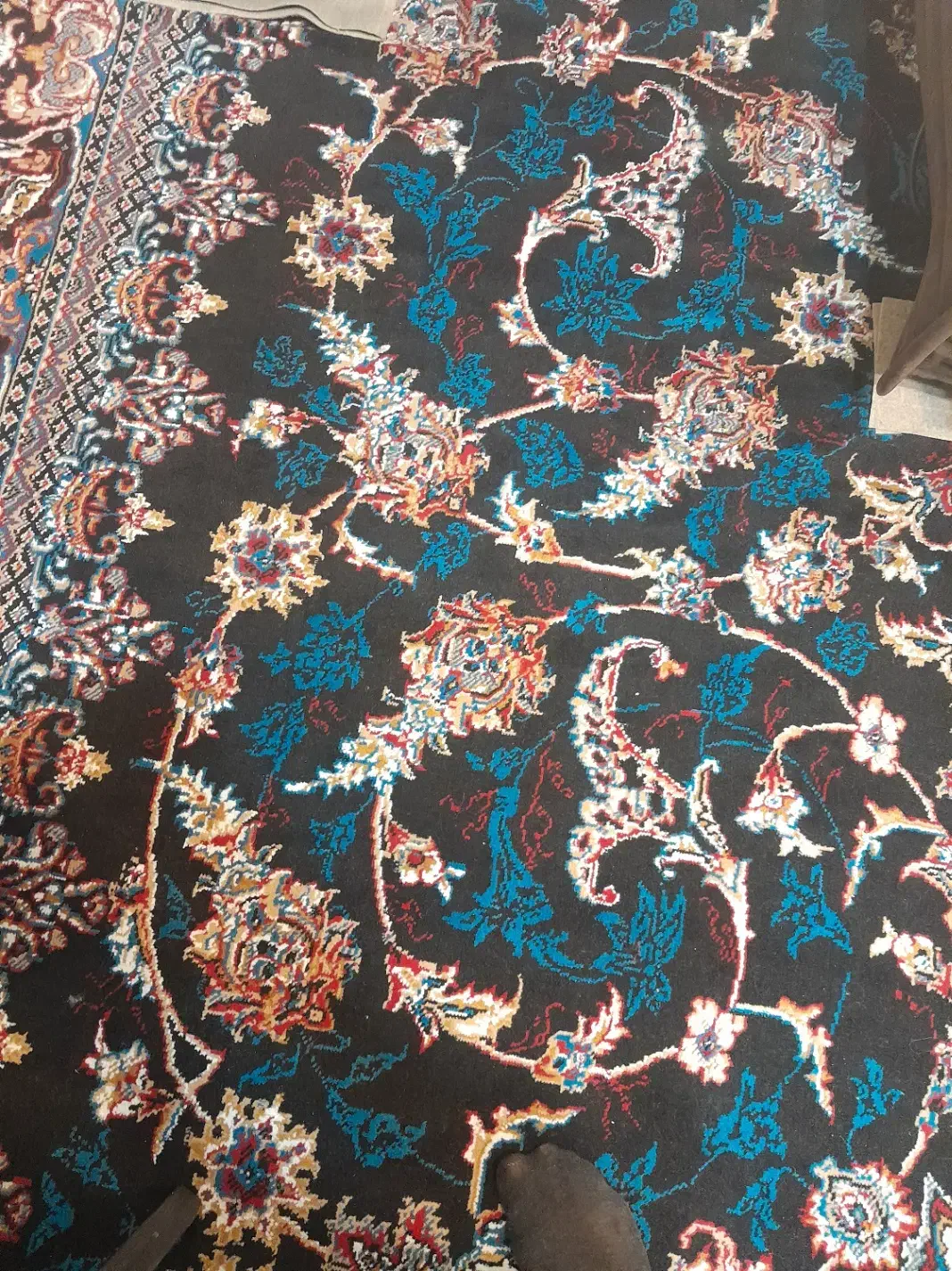 فرش ۱۲ متری|فرش|آمل, |دیوار