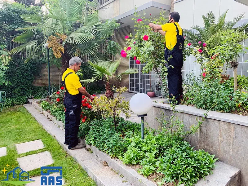 باغبانی فروش گل و گیاه کاشت گل باغچه کاری|خدمات باغبانی و درختکاری|تهران, تهرانسر غربی|دیوار