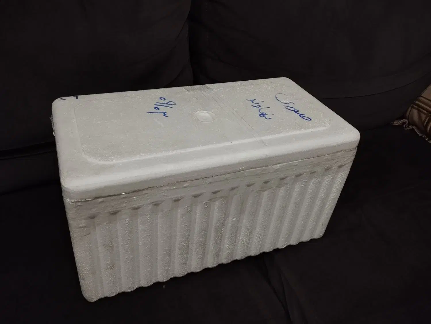 یخدان یونولیتی ، فیبر یخچالی|ظروف نگهدارنده، پلاستیکی، یکبارمصرف|نهاوند, |دیوار