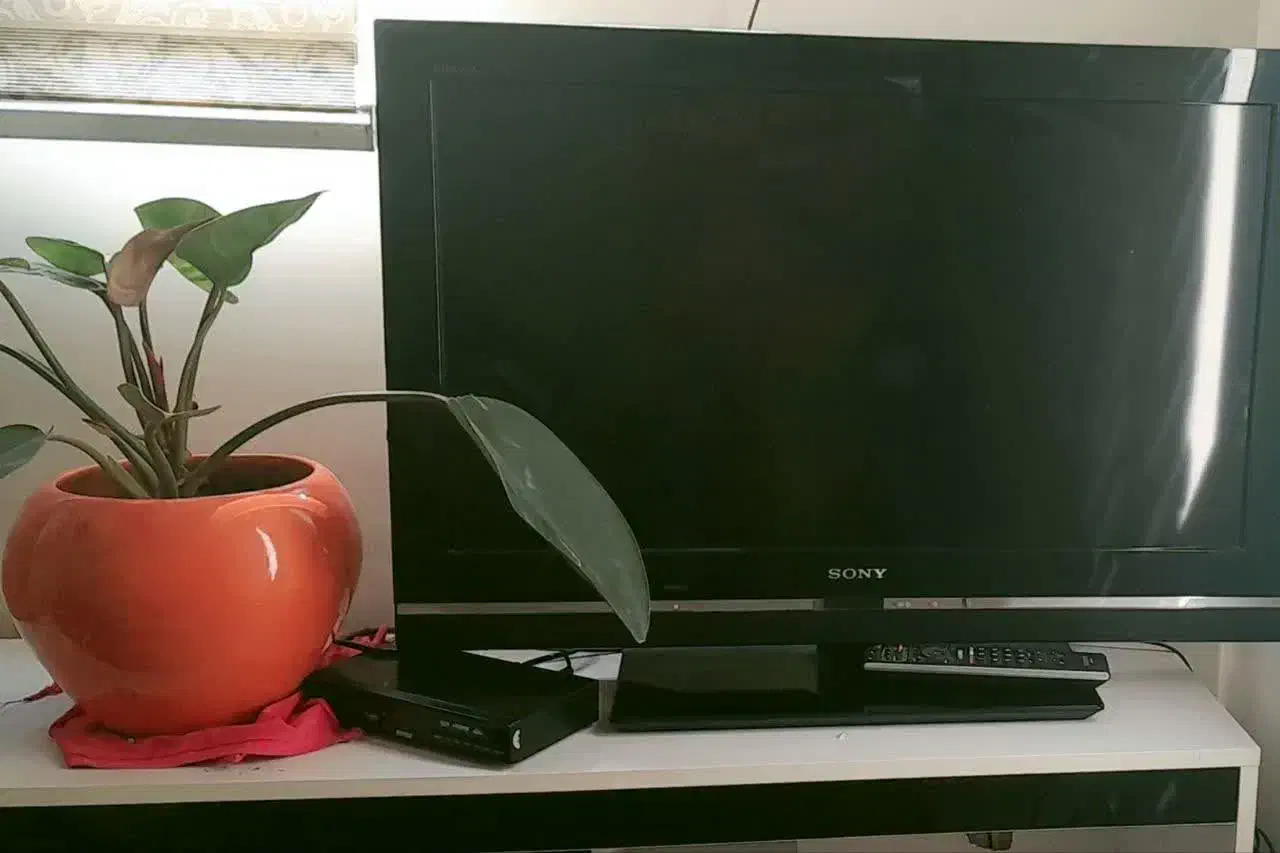 تلویزیون سونی 32LCD اینچ|تلویزیون و پروژکتور|پاکدشت, پاکدشت (مامازند)|دیوار