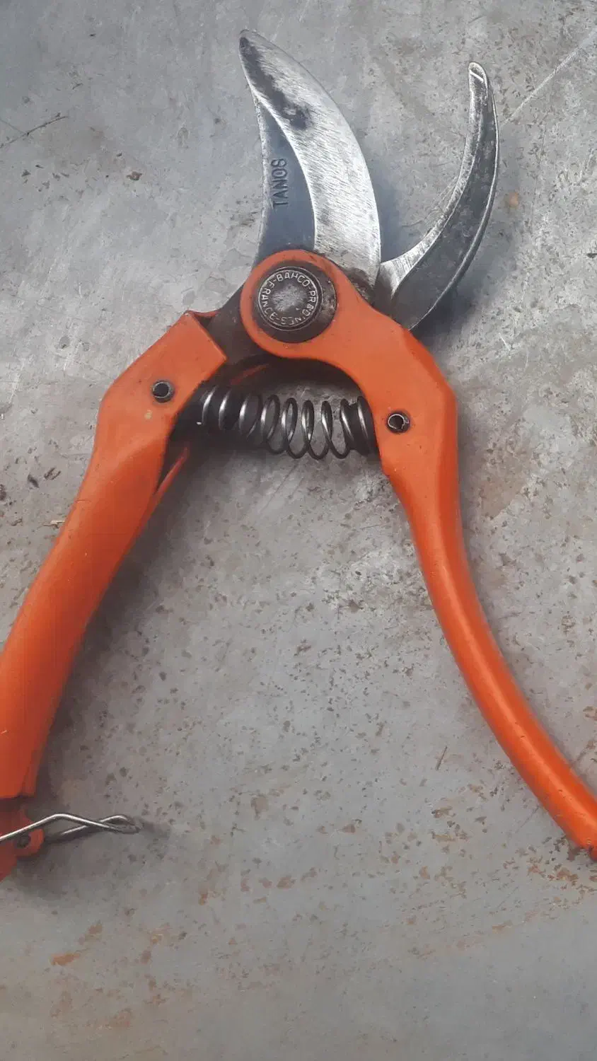 قیچی باغبانی|ابزارآلات|میاندوآب, |دیوار