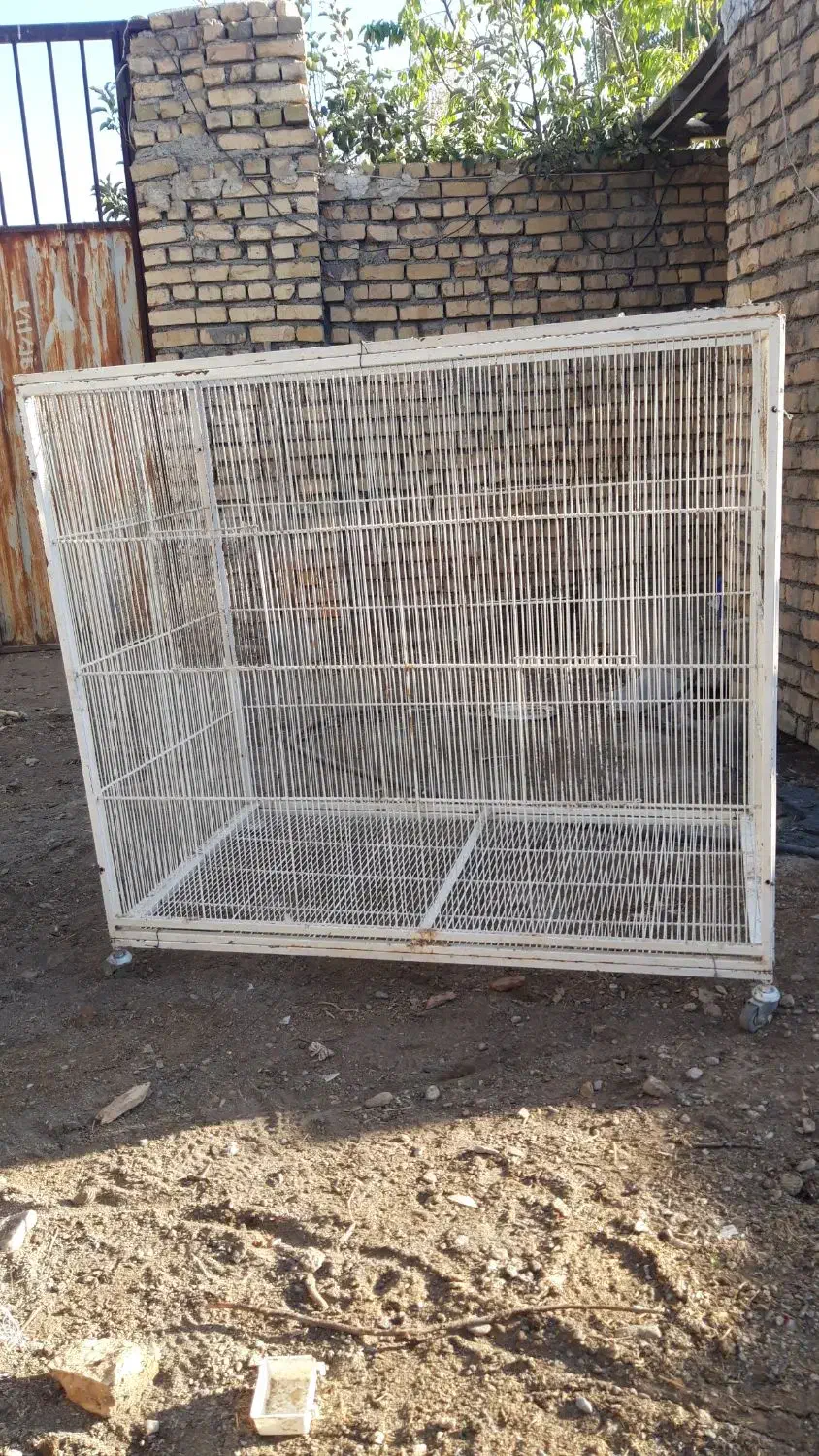 قفس بزرگ|لوازم جانبی حیوانات|خمین, |دیوار