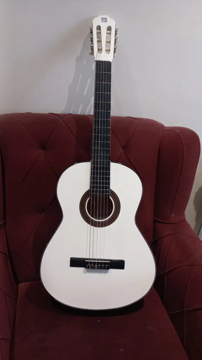 گیتار رویال دارای هالوگرام|گیتار، بیس، امپلیفایر|کرج, شهرک جهاننما|دیوار