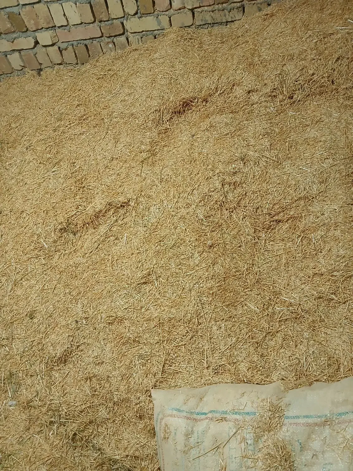 کاه حدود۲تن|عمده‌فروشی|لالجین, |دیوار