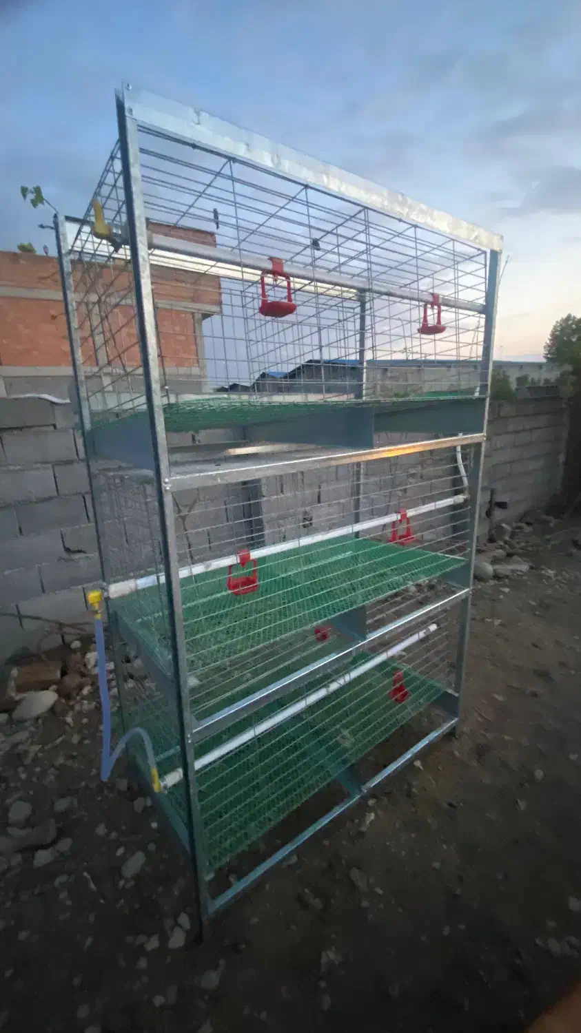 قفس مرغ تخمگذار و گوشتی|حیوانات مزرعه|ساری, |دیوار