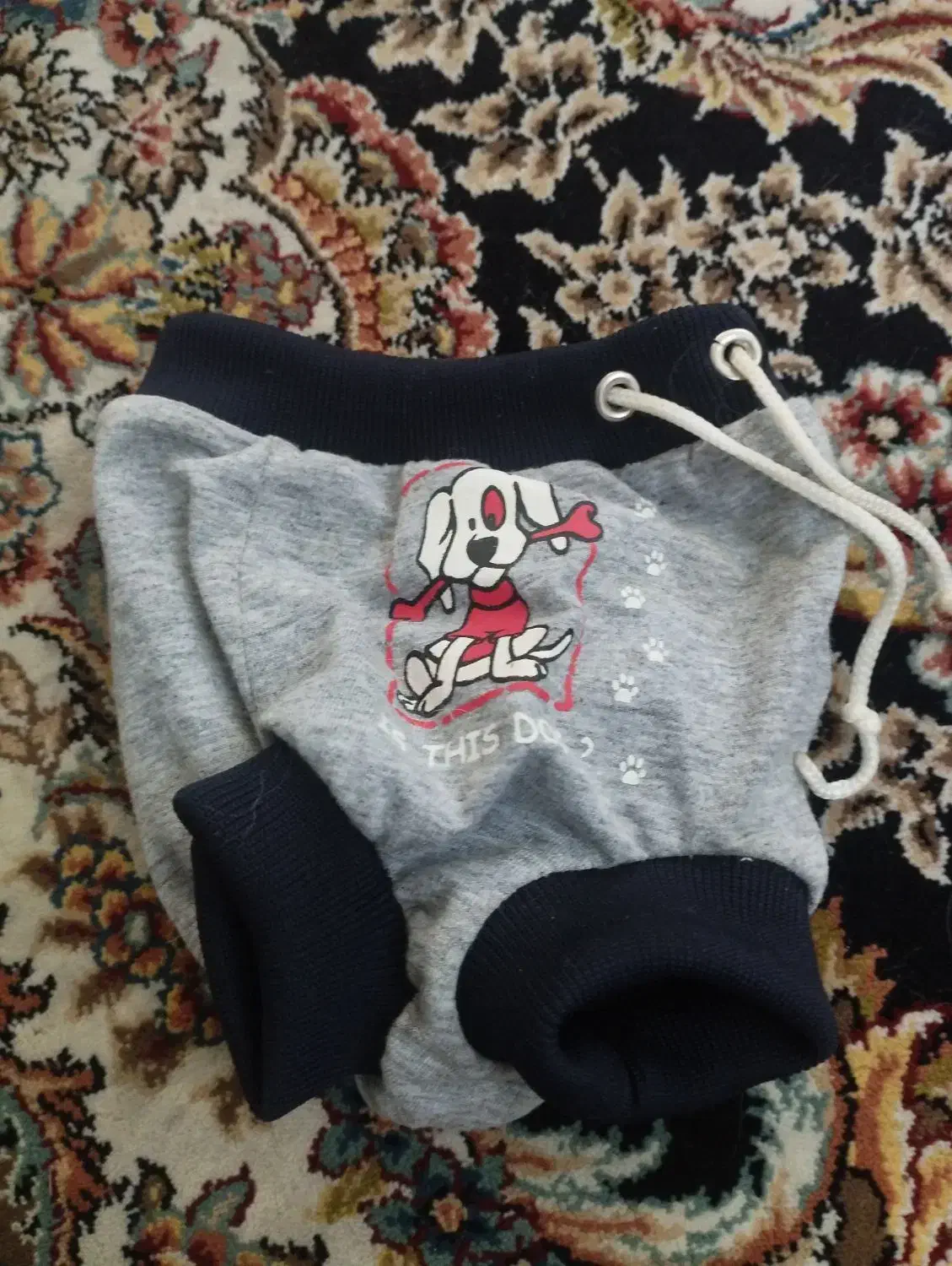 وسایل سگ|لوازم جانبی حیوانات|تهران, مهران (سیدخندان)|دیوار