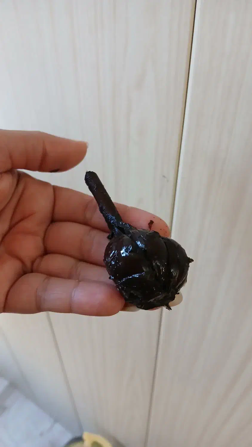 ترشی سیر ۱۰ ساله|خوردنی و آشامیدنی|تربت‌حیدریه, شهرک ولیعصر|دیوار