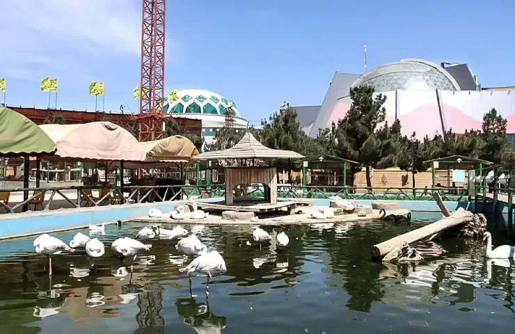 اگهی جذب نیرو و پرسنل|استخدام اداری و مدیریت|ایلام, |دیوار