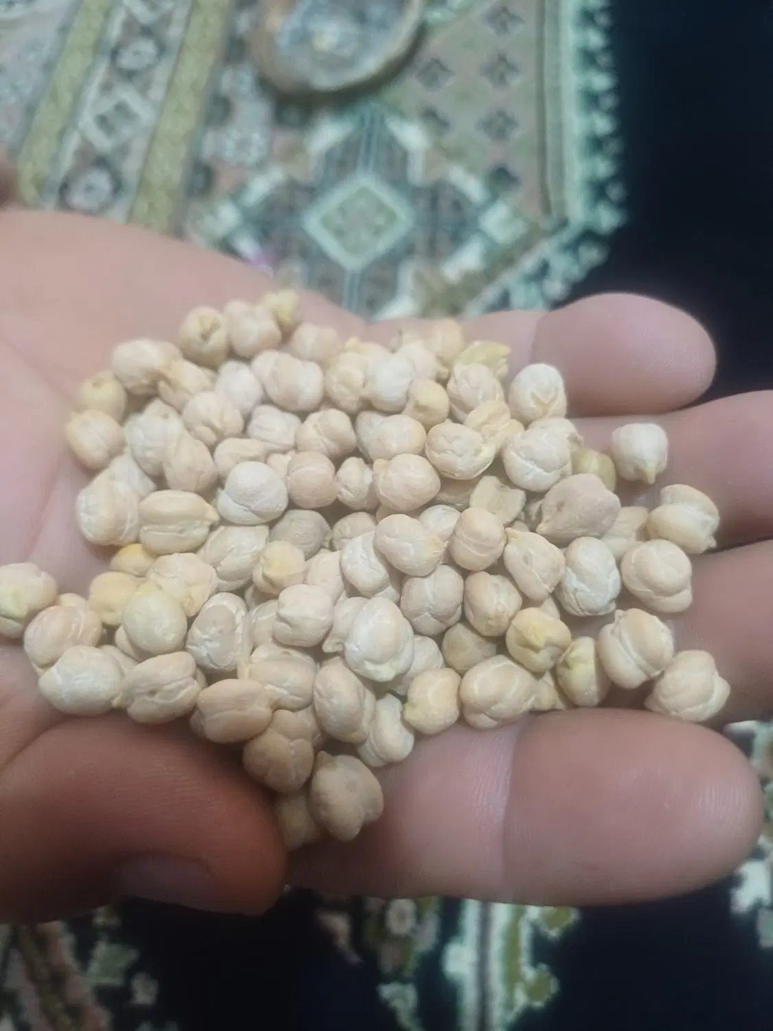 نخود درجه یک|خوردنی و آشامیدنی|تهران, اوقاف|دیوار