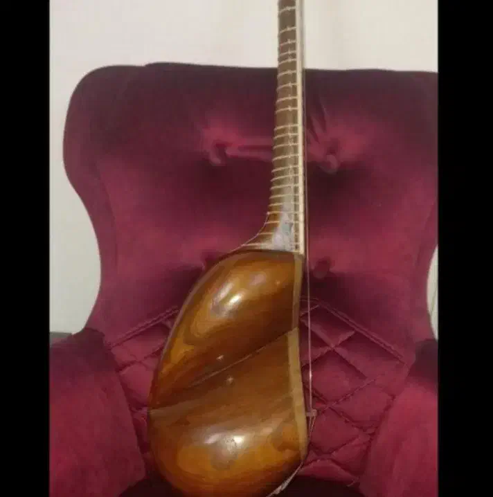 تار داریوش دو مهر|سازهای سنتی|قائمشهر, |دیوار