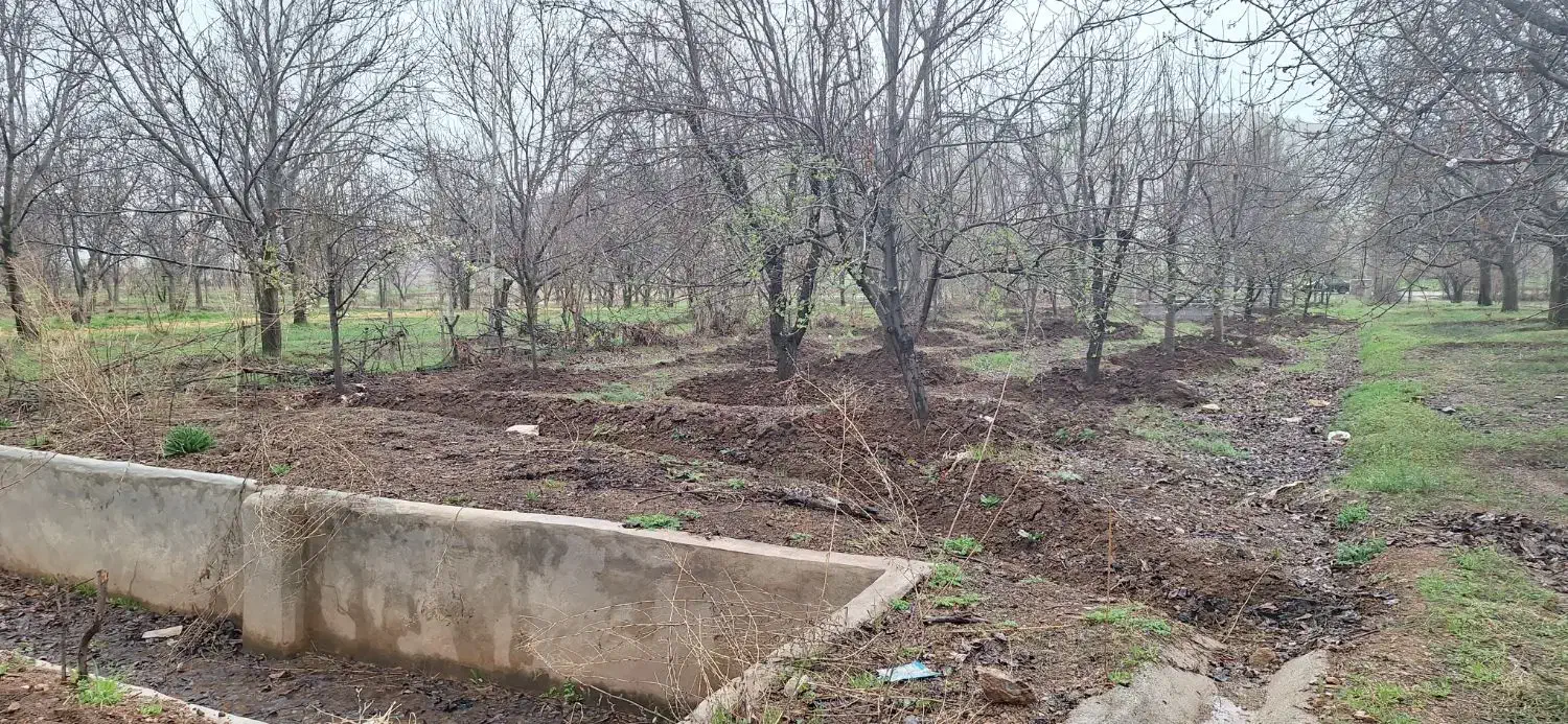 باغ|فروش دفتر صنعتی، کشاورزی، تجاری|کنگاور, |دیوار