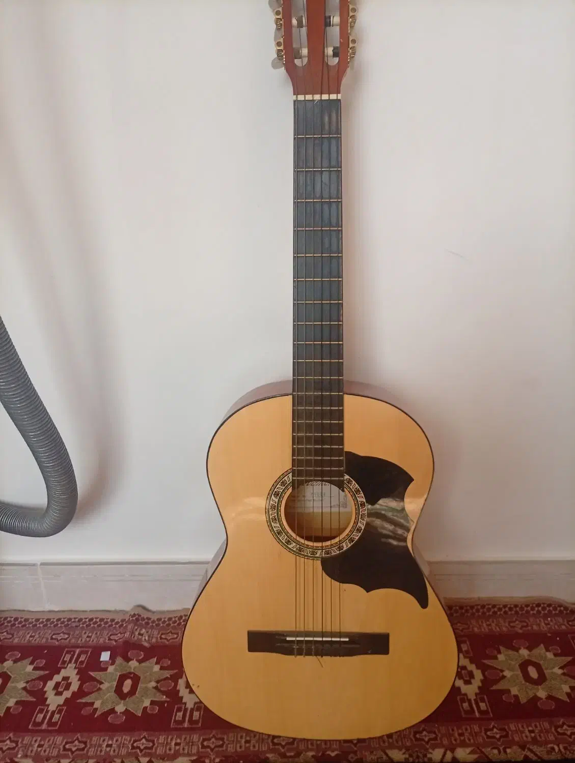 گیتار گودمن|گیتار، بیس، امپلیفایر|منجیل, |دیوار