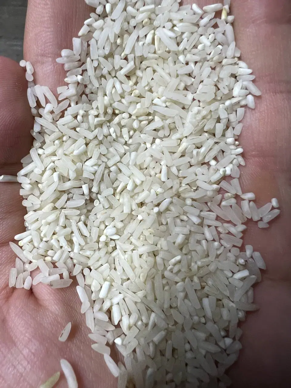 برنج|خوردنی و آشامیدنی|دامغان, |دیوار