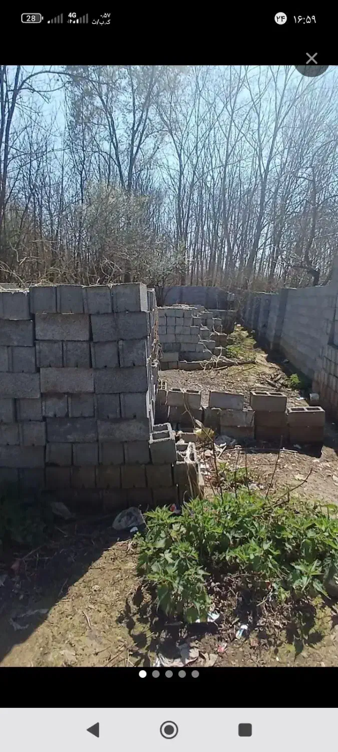 فروش زمین مسکونی ۲۸۱ متر در ضیابر ( شفقت محله)|فروش زمین و ملک کلنگی|ضیابر, |دیوار