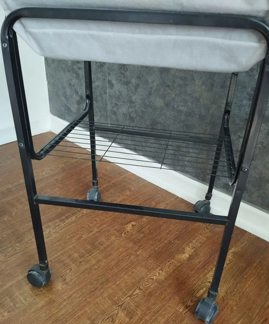 عروس هلندی نر سخنگو|پرنده|پردیس, فاز ۱|دیوار