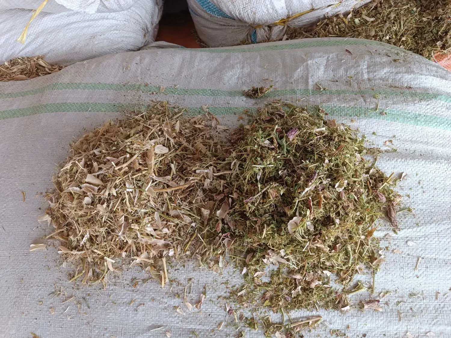 فروشه کاه لوبیا و نخود به قیمت|عمدهفروشی|خرمدره, |دیوار