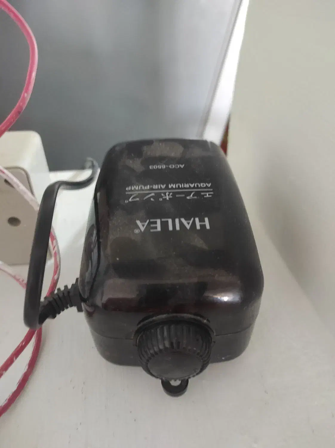 اکواریوم با ماهی معاوضه با پرنده|ماهی|خواف, |دیوار