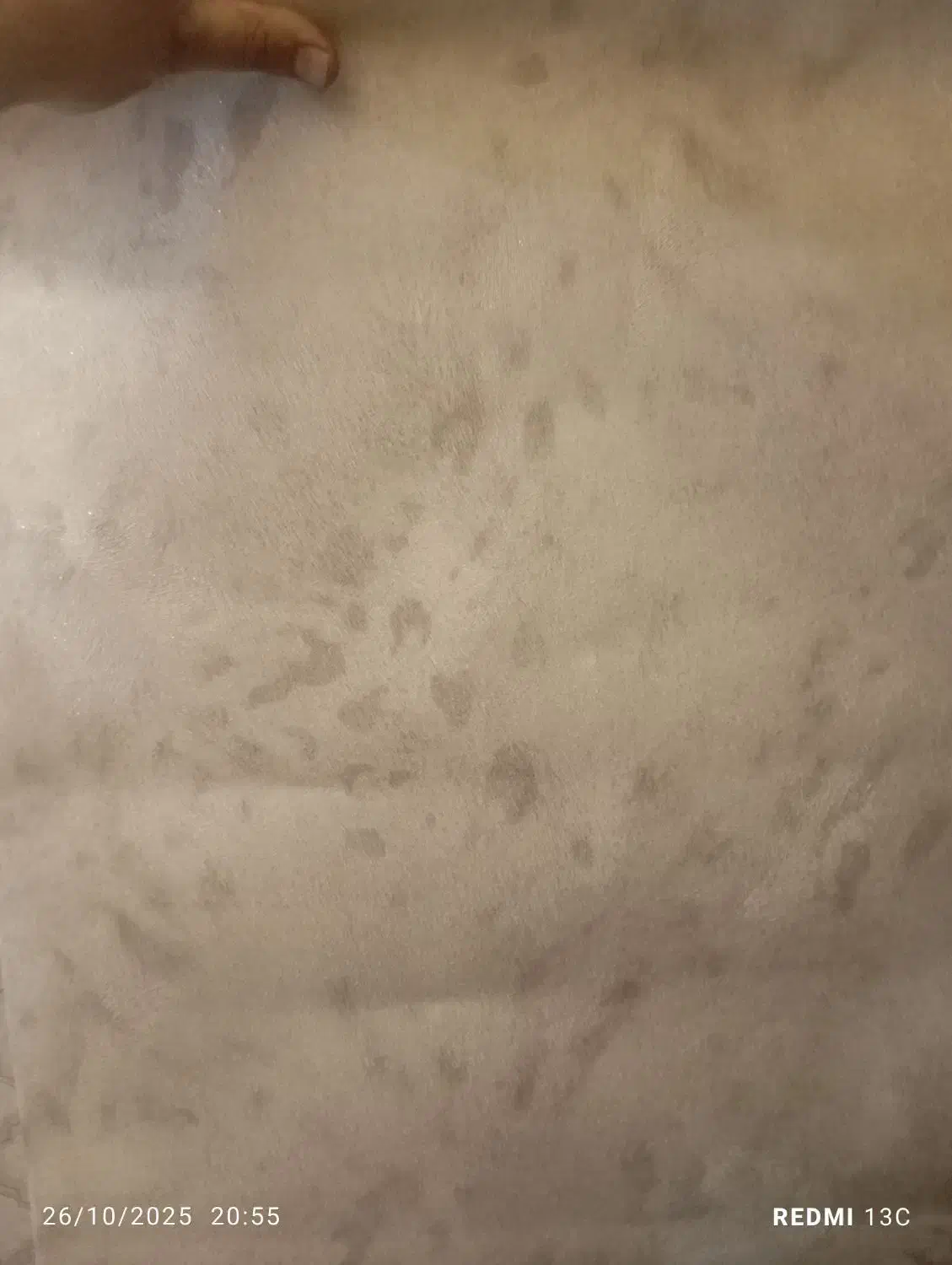 برچسب کابینت،پوسترکاغذ دیواری|عمدهفروشی|قرچک, شهرک طلائیه|دیوار