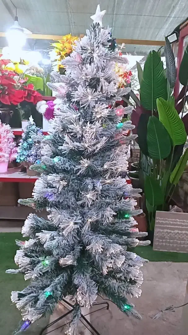 وارد کننده کاج کریسمس|گل مصنوعی|پاکدشت, پاکدشت (مامازند)|دیوار