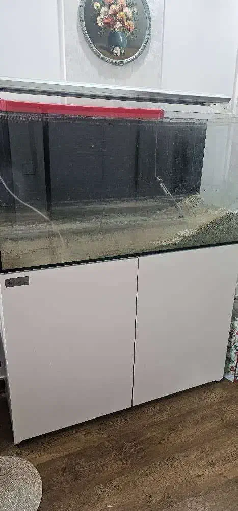 آکواریوم برند ایران آکواریوم|ماهی|تهران, باغ فیض|دیوار