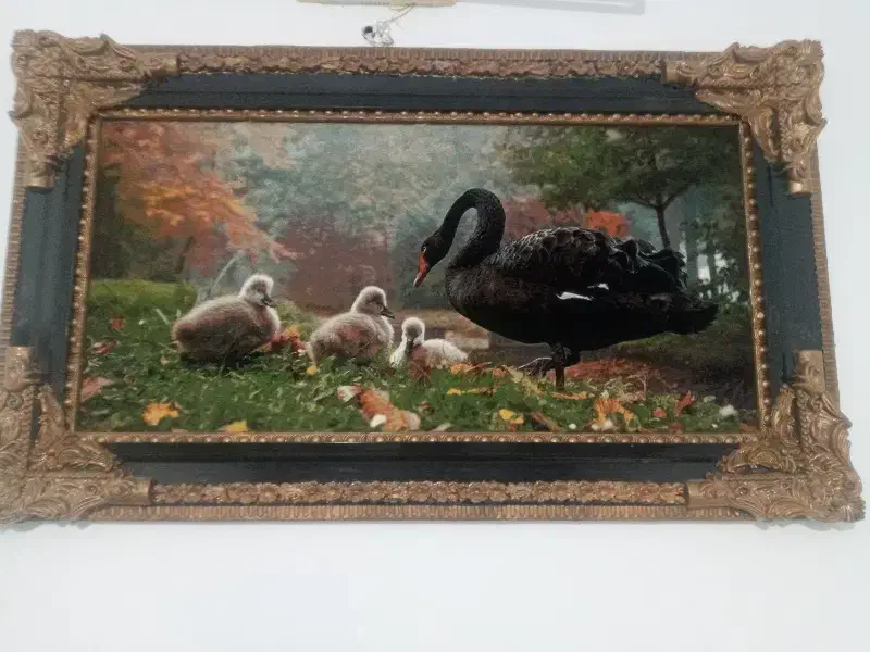 تالو فرش|تابلو فرش|قم, شاه ابراهیم|دیوار