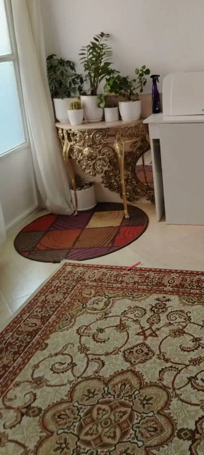 آینه برنز|آینه|نیشابور, کوی یغما|دیوار