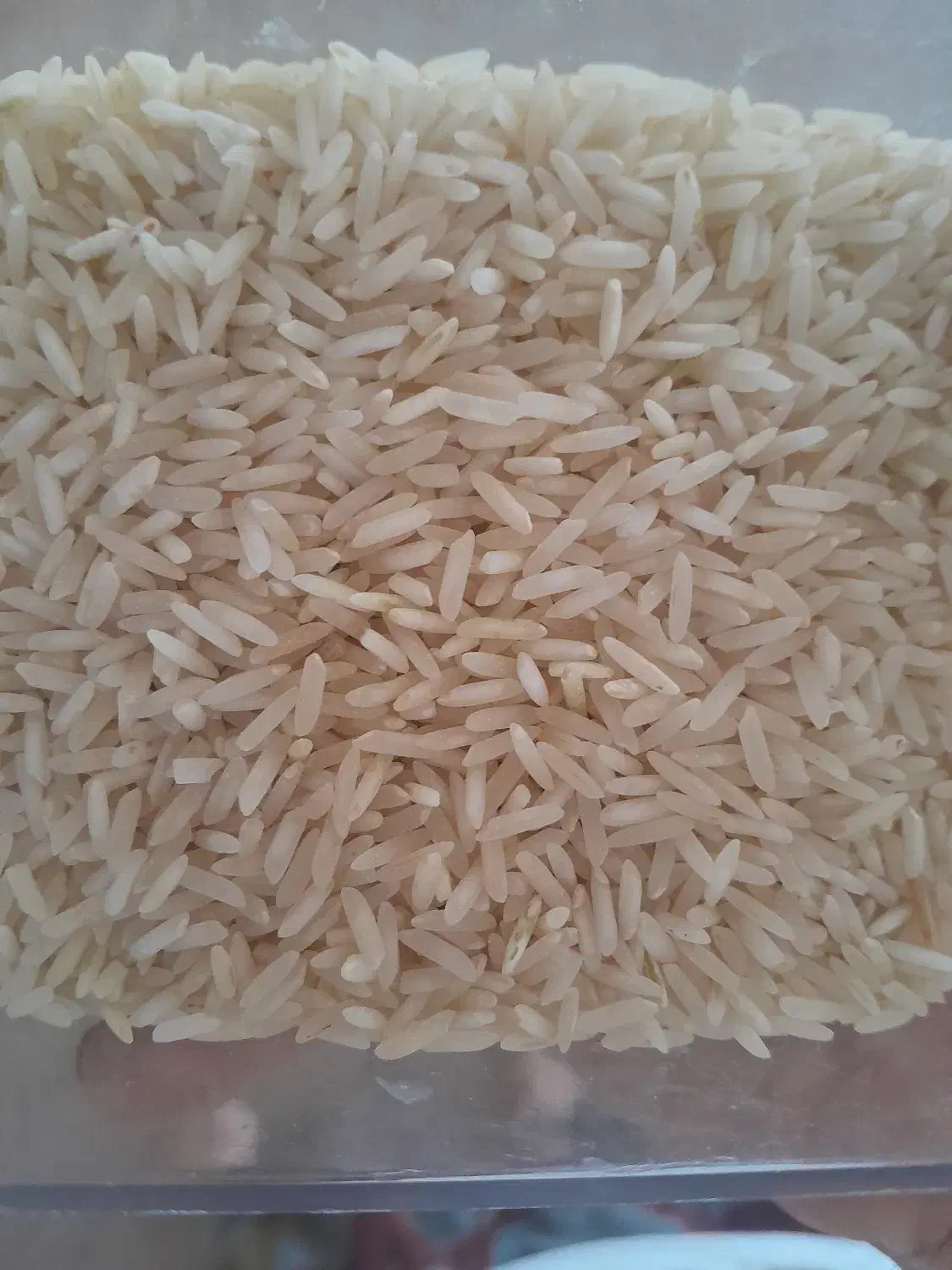 برنج ضیغمی درجه ۱|خوردنی و آشامیدنی|زاگرس, |دیوار